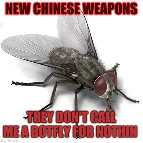 Scumbag House Fly | NEW CHINESE WEAPONS; THEY DON'T CALL ME A BOTFLY FOR NOTHIN | image tagged in scumbag house fly | made w/ Imgflip meme maker