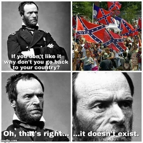 dam sherm y u so triggered by a flag maga | image tagged in civil war,confederate flag,confederacy,repost,maga,historical meme | made w/ Imgflip meme maker
