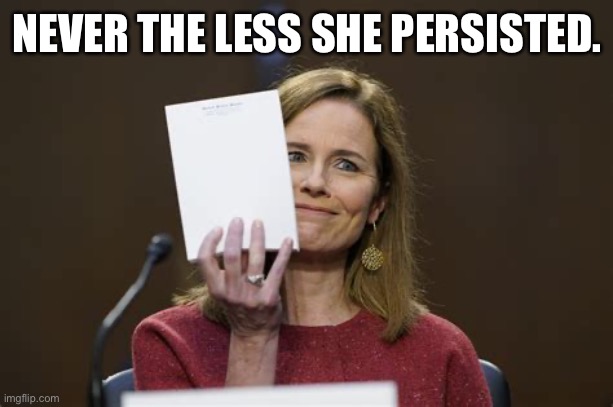 NEVER THE LESS SHE PERSISTED. | made w/ Imgflip meme maker