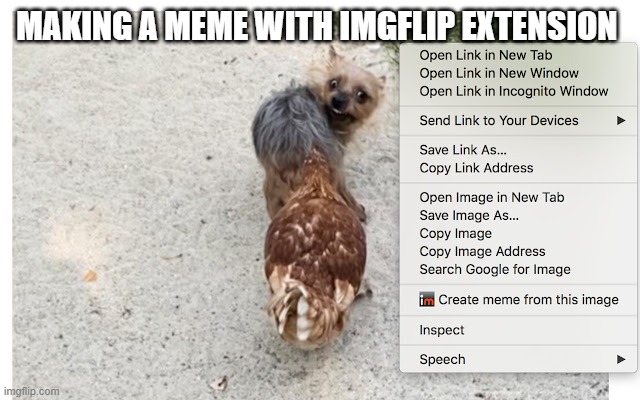 MAKING A MEME WITH IMGFLIP EXTENSION | image tagged in imgflip | made w/ Imgflip meme maker