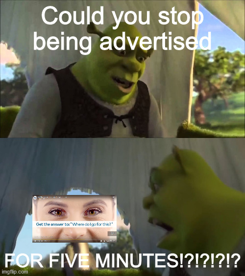 Everywhere I go, I see her face.... | Could you stop being advertised; FOR FIVE MINUTES!?!?!?!? | image tagged in shrek five minutes,youtube ads,dank memes,memes,fresh memes | made w/ Imgflip meme maker
