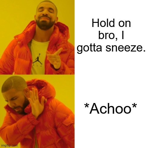 (I dont know if somebody already made this, it seemed like a good meme to me. I didn't steal the meme on purpose if so.) | Hold on bro, I gotta sneeze. *Achoo* | image tagged in drake hotline bling,humor | made w/ Imgflip meme maker