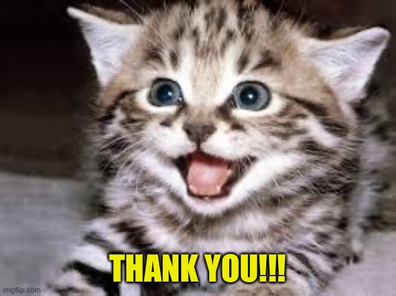 happy cat | THANK YOU!!! | image tagged in happy cat | made w/ Imgflip meme maker