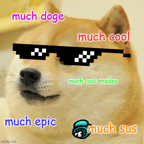 Doge | much doge; much cool; much cool shades; much epic; much sus | image tagged in memes,doge | made w/ Imgflip meme maker