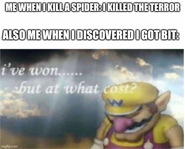 I won but at what cost | ME WHEN I KILL A SPIDER: I KILLED THE TERROR; ALSO ME WHEN I DISCOVERED I GOT BIT: | image tagged in i won but at what cost | made w/ Imgflip meme maker