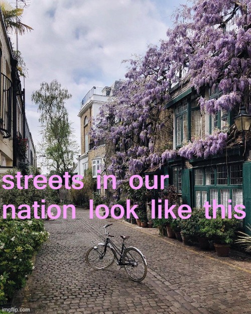 [tl;dr quaint cobblestone; no cars; gay; confirmed communist] | streets in our nation look like this | image tagged in majestic bicycle | made w/ Imgflip meme maker