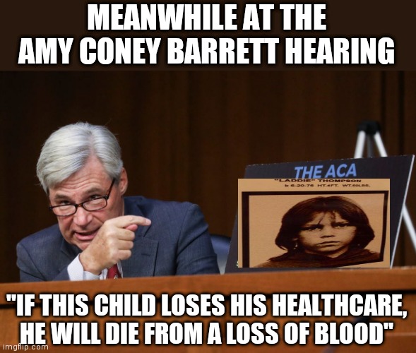 wonder how many will get it :) | MEANWHILE AT THE AMY CONEY BARRETT HEARING; "IF THIS CHILD LOSES HIS HEALTHCARE, HE WILL DIE FROM A LOSS OF BLOOD" | image tagged in memes | made w/ Imgflip meme maker