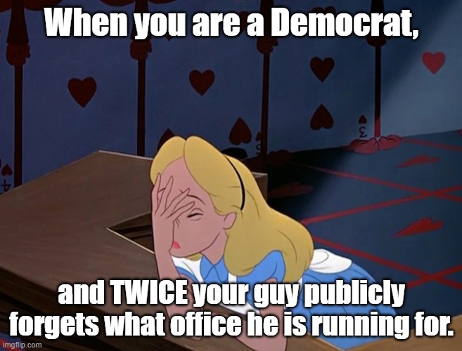 Steee-rike 2 | When you are a Democrat, and TWICE your guy publicly forgets what office he is running for. | image tagged in alice in wonderland face palm facepalm,joe biden,biden | made w/ Imgflip meme maker