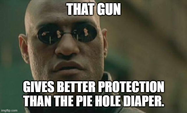 Matrix Morpheus Meme | THAT GUN GIVES BETTER PROTECTION THAN THE PIE HOLE DIAPER. | image tagged in memes,matrix morpheus | made w/ Imgflip meme maker