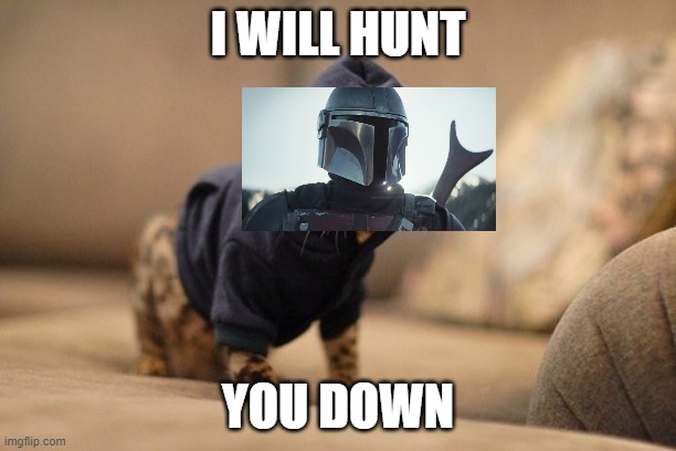 Hoody Cat | I WILL HUNT; YOU DOWN | image tagged in memes,hoody cat | made w/ Imgflip meme maker
