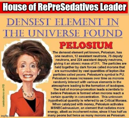 House of RePreSEDATIVES, Nancy Pelosi | House of RePreSedatives Leader | image tagged in house of represedatives,pelosi,scotus,biden,election | made w/ Imgflip meme maker