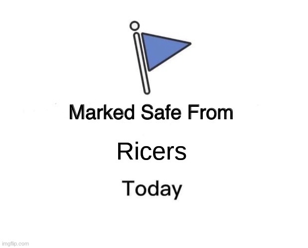 Marked Safe From Meme | Ricers | image tagged in memes,marked safe from | made w/ Imgflip meme maker