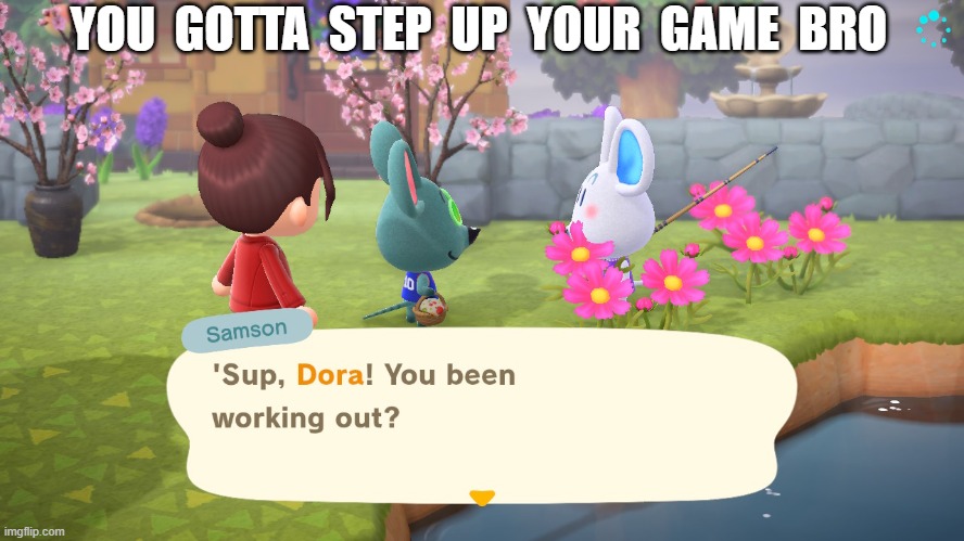 Pick up fail | YOU  GOTTA  STEP  UP  YOUR  GAME  BRO | image tagged in acnh,animal crossing,dora,samson | made w/ Imgflip meme maker