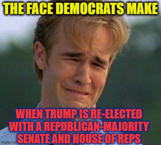 1990s First World Problems Meme | THE FACE DEMOCRATS MAKE; WHEN TRUMP IS RE-ELECTED
WITH A REPUBLICAN-MAJORITY
SENATE AND HOUSE OF REPS | image tagged in 1990s first world problems,msm lies,cnn fake news,hillary for prison,creepy joe biden,trump 2020 | made w/ Imgflip meme maker