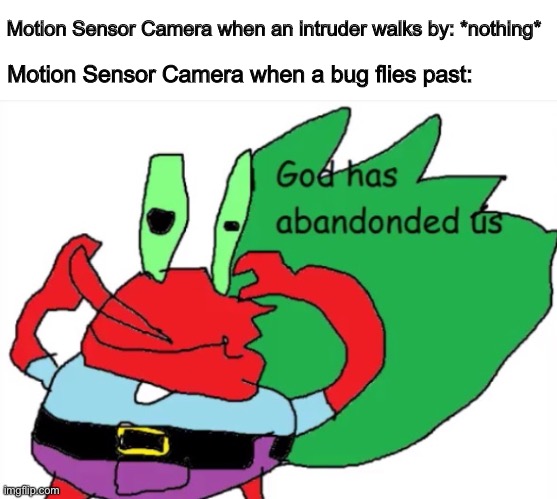 He is feeling it now | Motion Sensor Camera when an intruder walks by: *nothing*; Motion Sensor Camera when a bug flies past: | image tagged in spongebob,mr krabs,drawing,memes,funny,2020 | made w/ Imgflip meme maker