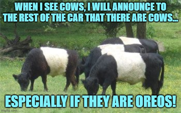 Oreo Cows | WHEN I SEE COWS, I WILL ANNOUNCE TO THE REST OF THE CAR THAT THERE ARE COWS... ESPECIALLY IF THEY ARE OREOS! | image tagged in oreo cows | made w/ Imgflip meme maker