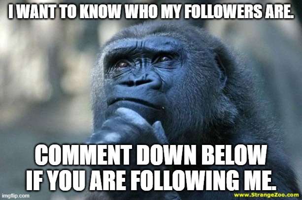 Comment down below if you are following me. | I WANT TO KNOW WHO MY FOLLOWERS ARE. COMMENT DOWN BELOW IF YOU ARE FOLLOWING ME. | image tagged in deep thoughts,memes,question | made w/ Imgflip meme maker