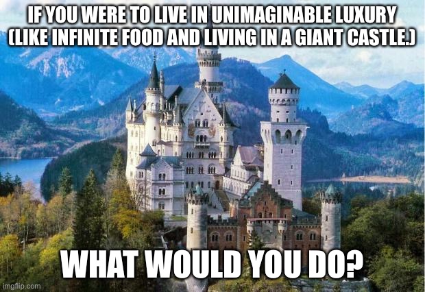 Maybe this will become a new trend | IF YOU WERE TO LIVE IN UNIMAGINABLE LUXURY (LIKE INFINITE FOOD AND LIVING IN A GIANT CASTLE.); WHAT WOULD YOU DO? | image tagged in castle,what would you do,imgflip trends,luxury | made w/ Imgflip meme maker