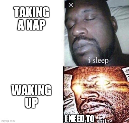 is it just me | TAKING A NAP; WAKING UP; I NEED TO | image tagged in i sleep real shit | made w/ Imgflip meme maker