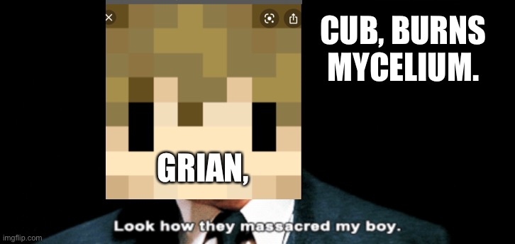 Mycelium Murder | CUB, BURNS MYCELIUM. GRIAN, | image tagged in look how they massacred my boy | made w/ Imgflip meme maker