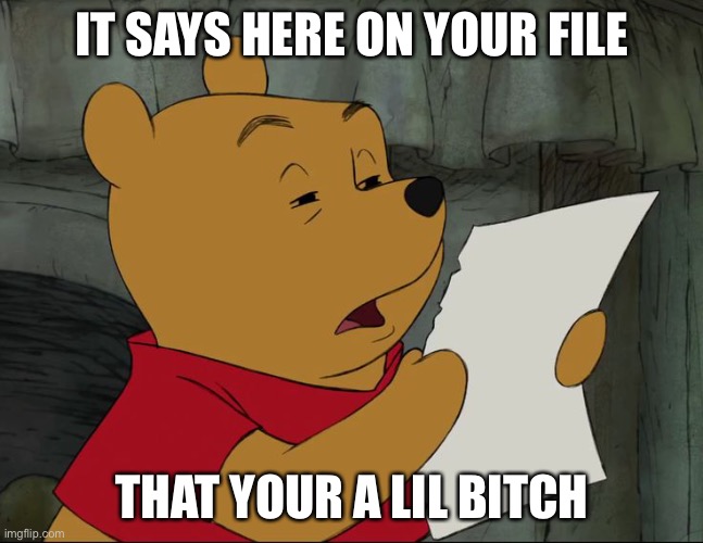 Winnie The Pooh | IT SAYS HERE ON YOUR FILE; THAT YOUR A LIL BITCH | image tagged in winnie the pooh | made w/ Imgflip meme maker