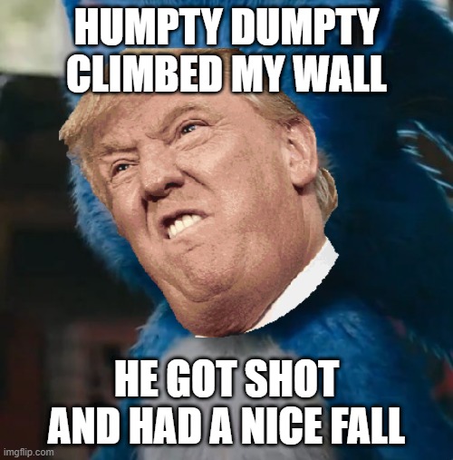 oh ya | HUMPTY DUMPTY CLIMBED MY WALL; HE GOT SHOT AND HAD A NICE FALL | image tagged in sonic movie | made w/ Imgflip meme maker