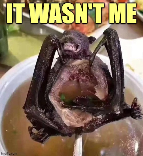 bat | IT WASN'T ME | image tagged in bat | made w/ Imgflip meme maker