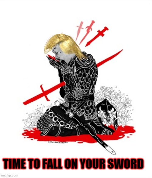 Grace Acknowledges Defeat | TIME TO FALL ON YOUR SWORD | image tagged in trump lost,trump,biden 2020,joe biden | made w/ Imgflip meme maker