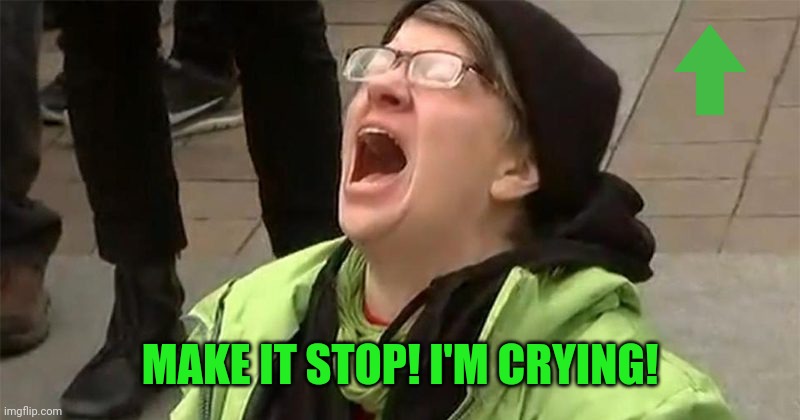 crying liberal | MAKE IT STOP! I'M CRYING! | image tagged in crying liberal | made w/ Imgflip meme maker