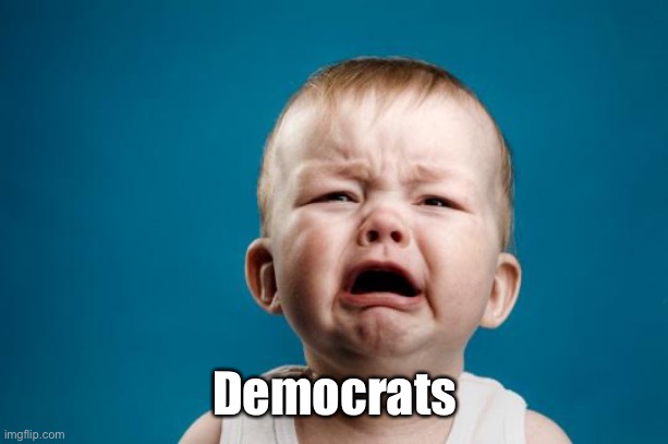 BABY CRYING | Democrats | image tagged in baby crying | made w/ Imgflip meme maker