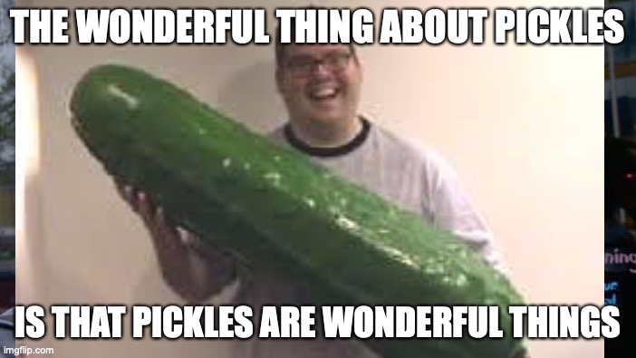pickles be noice | THE WONDERFUL THING ABOUT PICKLES; IS THAT PICKLES ARE WONDERFUL THINGS | image tagged in pickle,funny,puns,i guess,uuuuh | made w/ Imgflip meme maker