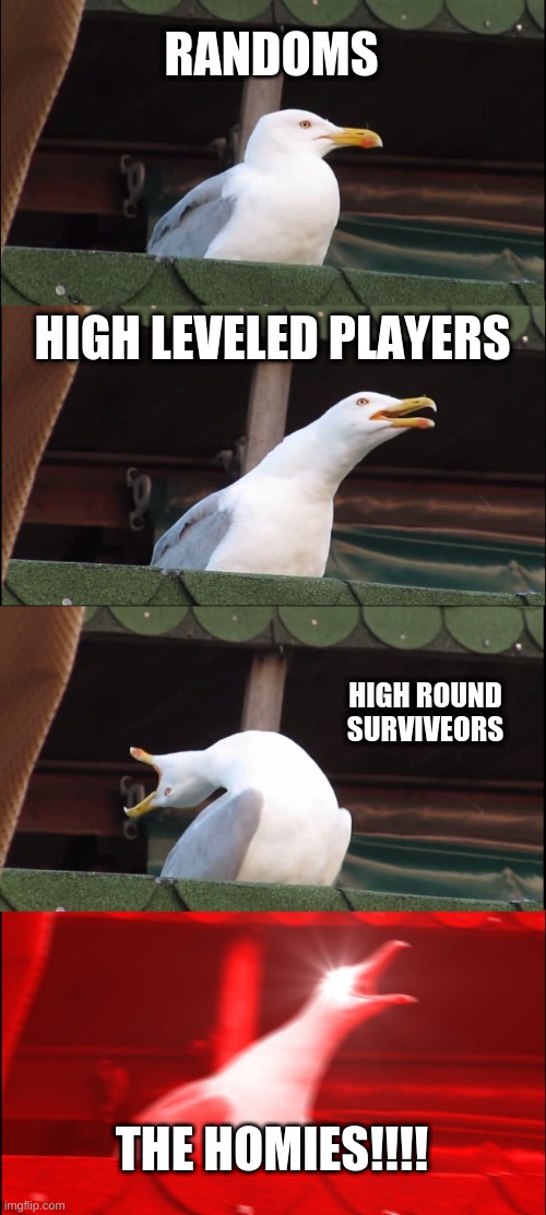 Inhaling Seagull | RANDOMS; HIGH LEVELED PLAYERS; HIGH ROUND SURVIVEORS; THE HOMIES!!!! | image tagged in memes,inhaling seagull | made w/ Imgflip meme maker