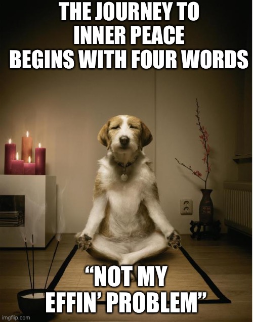 Not my effin problem | THE JOURNEY TO INNER PEACE BEGINS WITH FOUR WORDS; “NOT MY EFFIN’ PROBLEM” | image tagged in dog meditation funny,not my problem,inner peace dog,effin | made w/ Imgflip meme maker