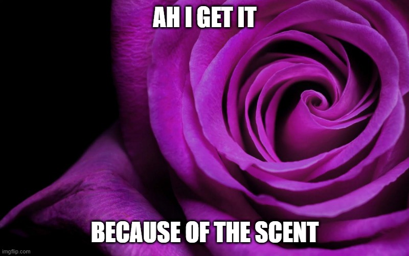 Forgiveness is the scent the flower makes when it is crushed | AH I GET IT BECAUSE OF THE SCENT | image tagged in forgiveness is the scent the flower makes when it is crushed | made w/ Imgflip meme maker