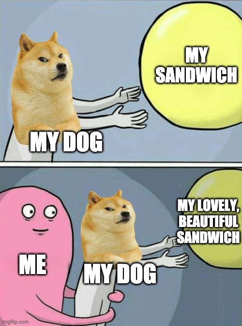 dog | MY SANDWICH; MY DOG; MY LOVELY, BEAUTIFUL SANDWICH; ME; MY DOG | image tagged in memes,running away balloon | made w/ Imgflip meme maker