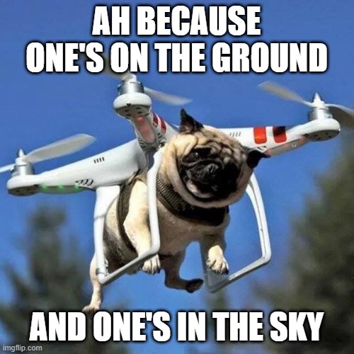 Flying Pug | AH BECAUSE ONE'S ON THE GROUND AND ONE'S IN THE SKY | image tagged in flying pug | made w/ Imgflip meme maker