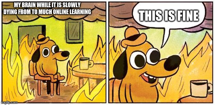 This is Fine (Blank) | THIS IS FINE; MY BRAIN WHILE IT IS SLOWLY DYING FROM TO MUCH ONLINE LEARNING | image tagged in this is fine blank | made w/ Imgflip meme maker