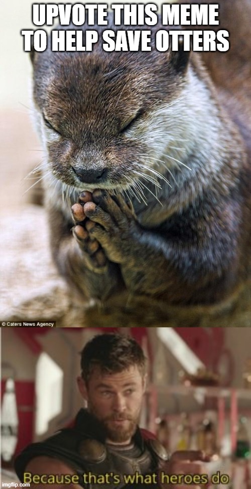 Save the otters. | UPVOTE THIS MEME TO HELP SAVE OTTERS | image tagged in thank you lord otter,thor ragnarok | made w/ Imgflip meme maker