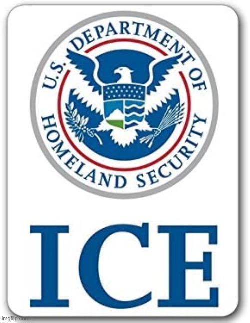 Homeland Security ICE | image tagged in homeland security ice | made w/ Imgflip meme maker