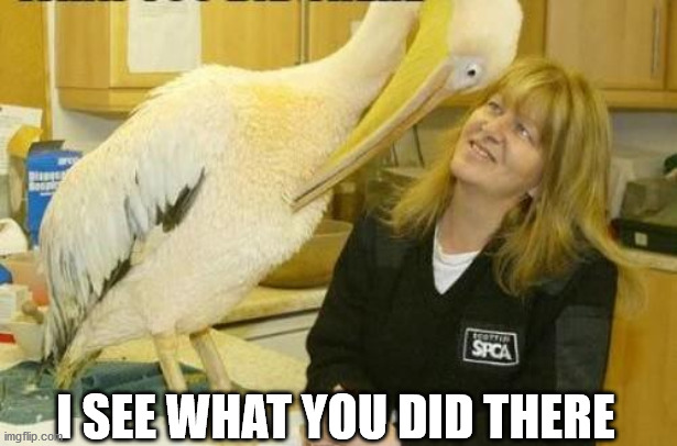 I see what you did there Pelican | I SEE WHAT YOU DID THERE | image tagged in i see what you did there pelican | made w/ Imgflip meme maker