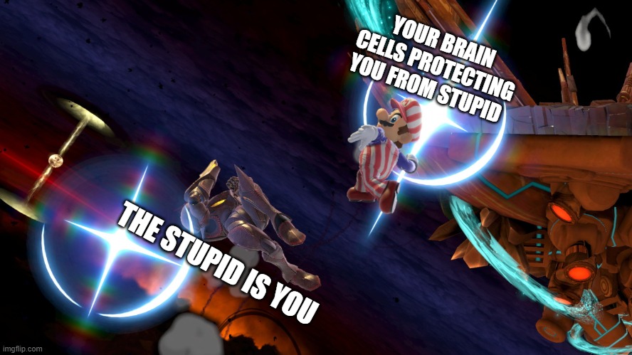 ProtecT cells | YOUR BRAIN CELLS PROTECTING YOU FROM STUPID; THE STUPID IS YOU | image tagged in super smash bros | made w/ Imgflip meme maker