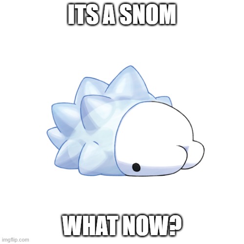 What now? | ITS A SNOM; WHAT NOW? | image tagged in pokemon | made w/ Imgflip meme maker