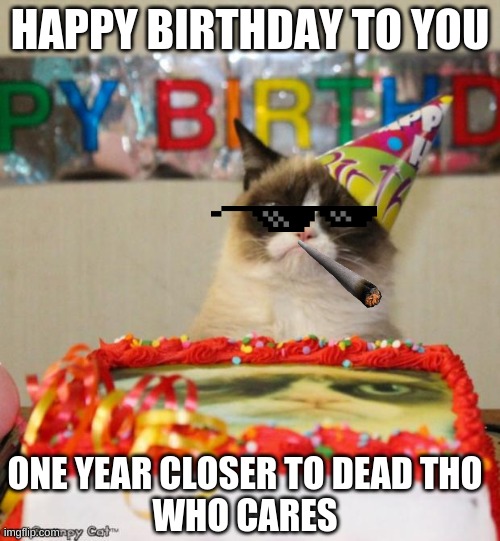 gg bois | HAPPY BIRTHDAY TO YOU; ONE YEAR CLOSER TO DEAD THO
WHO CARES | image tagged in memes,grumpy cat birthday,grumpy cat | made w/ Imgflip meme maker