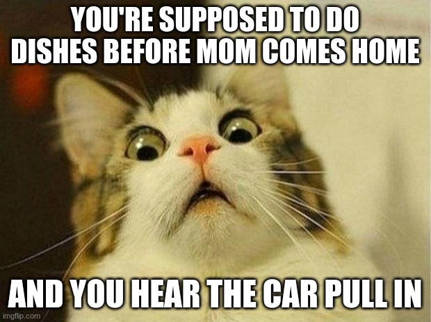 Scared Cat Meme | YOU'RE SUPPOSED TO DO DISHES BEFORE MOM COMES HOME; AND YOU HEAR THE CAR PULL IN | image tagged in memes,scared cat | made w/ Imgflip meme maker