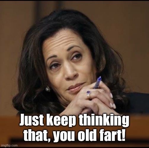 Kamala Harris  | Just keep thinking that, you old fart! | image tagged in kamala harris | made w/ Imgflip meme maker
