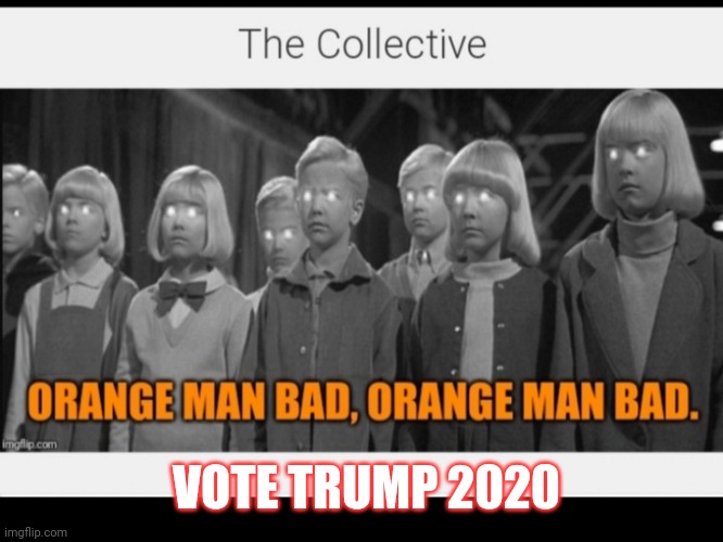 VOTE TRUMP 2020 | made w/ Imgflip meme maker