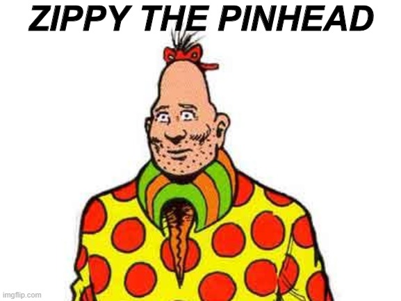 Zippy the Pinhead | ZIPPY THE PINHEAD | image tagged in zippy the pinhead | made w/ Imgflip meme maker