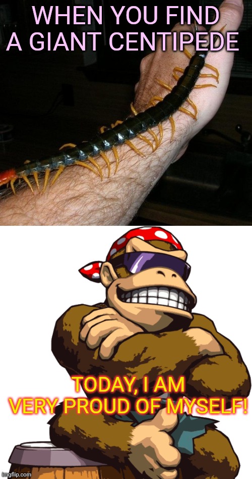 The biggest bug ever! | WHEN YOU FIND A GIANT CENTIPEDE; TODAY, I AM VERY PROUD OF MYSELF! | image tagged in giant centipede,surlykong,proud,bugs,creepy | made w/ Imgflip meme maker