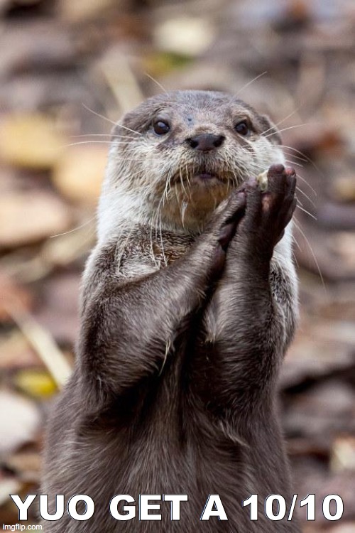Slow-Clap Otter | YUO GET A 10/10 | image tagged in slow-clap otter | made w/ Imgflip meme maker