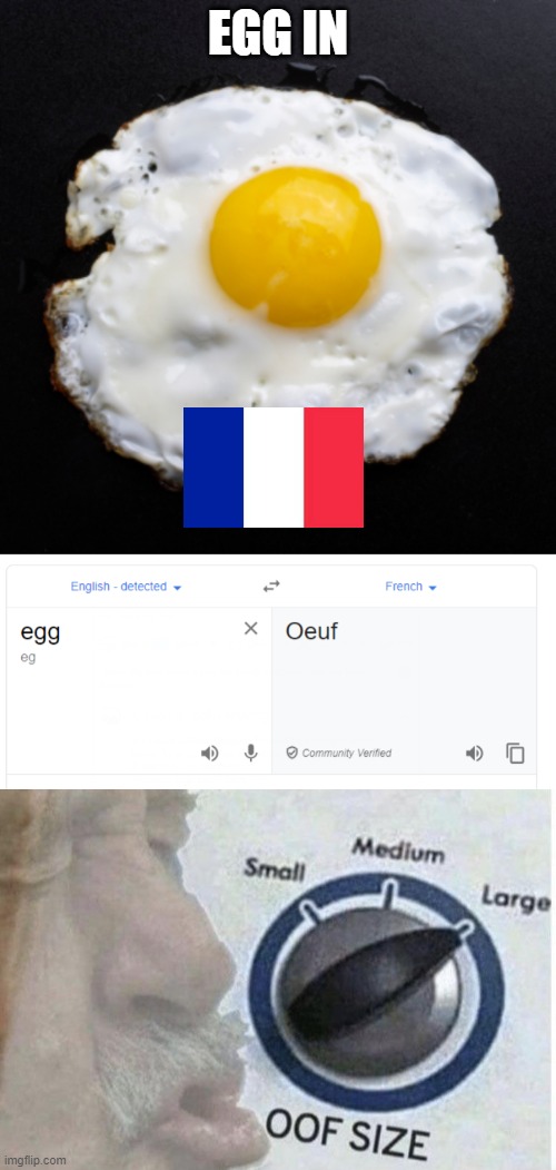 Egg | EGG IN | image tagged in eggs,oof size large | made w/ Imgflip meme maker